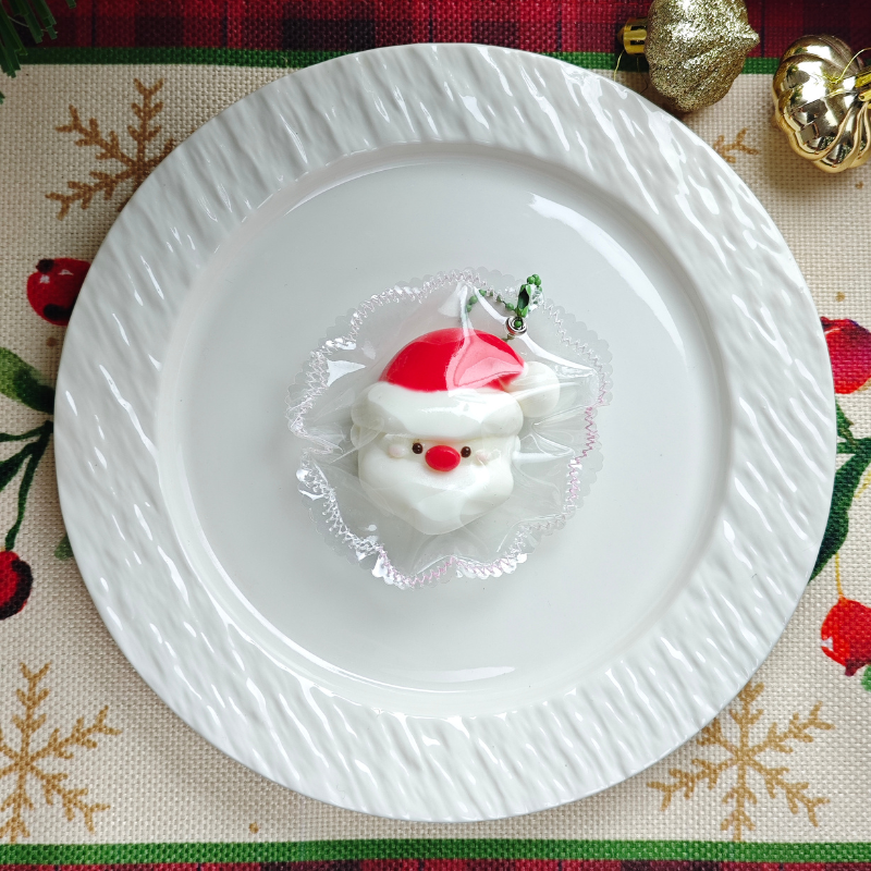 Christmas Santa Squishy